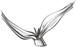 braid1